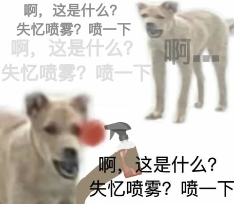 Meme