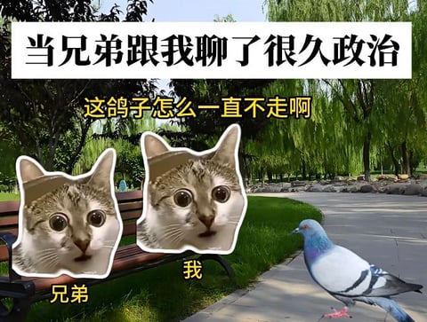 Meme