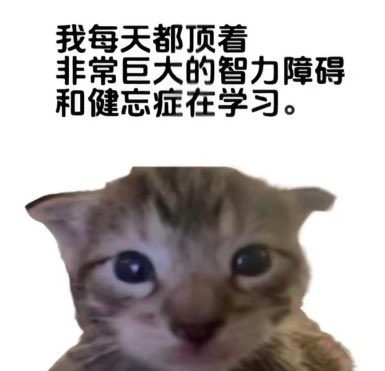 Meme